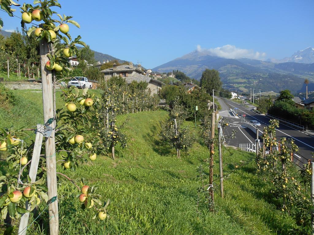 B&B Les Fleurs Gignod Dış mekan fotoğraf