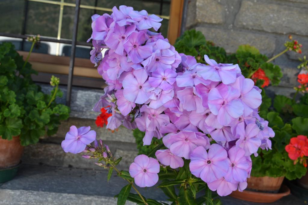 B&B Les Fleurs Gignod Dış mekan fotoğraf